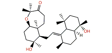 Sipholenone E